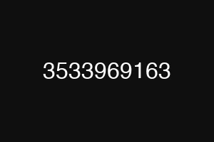 3533969163