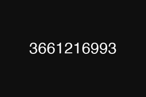 3661216993