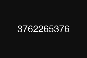 3762265376