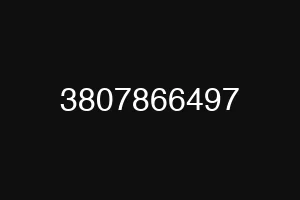 3807866497