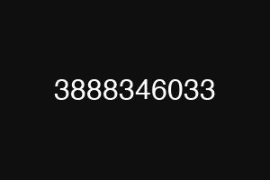 3888346033