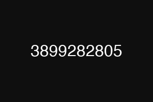 3899282805