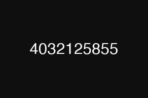 4032125855
