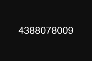 4388078009