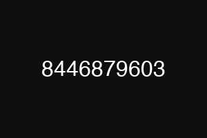 8446879603