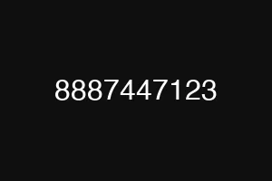 8887447123