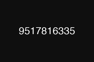 9517816335