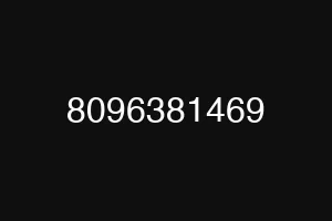 8096381469