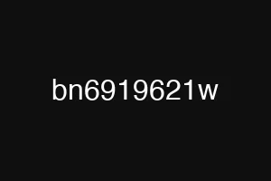 bn6919621w
