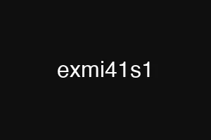 exmi41s1