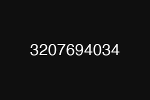 3207694034