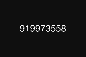919973558
