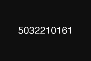 5032210161