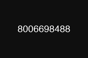 8006698488
