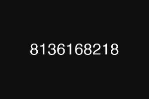 8136168218