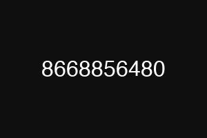 8668856480